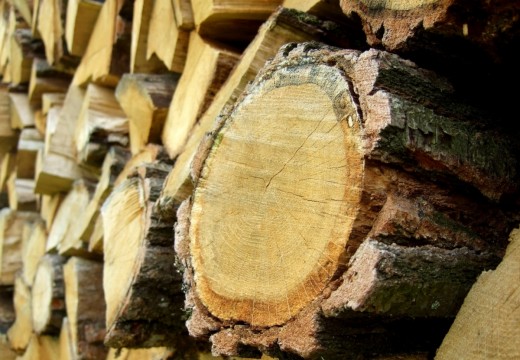 Une maison en bois, les multiples attraits d’un matériau naturel